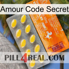 Love Secret Code new05